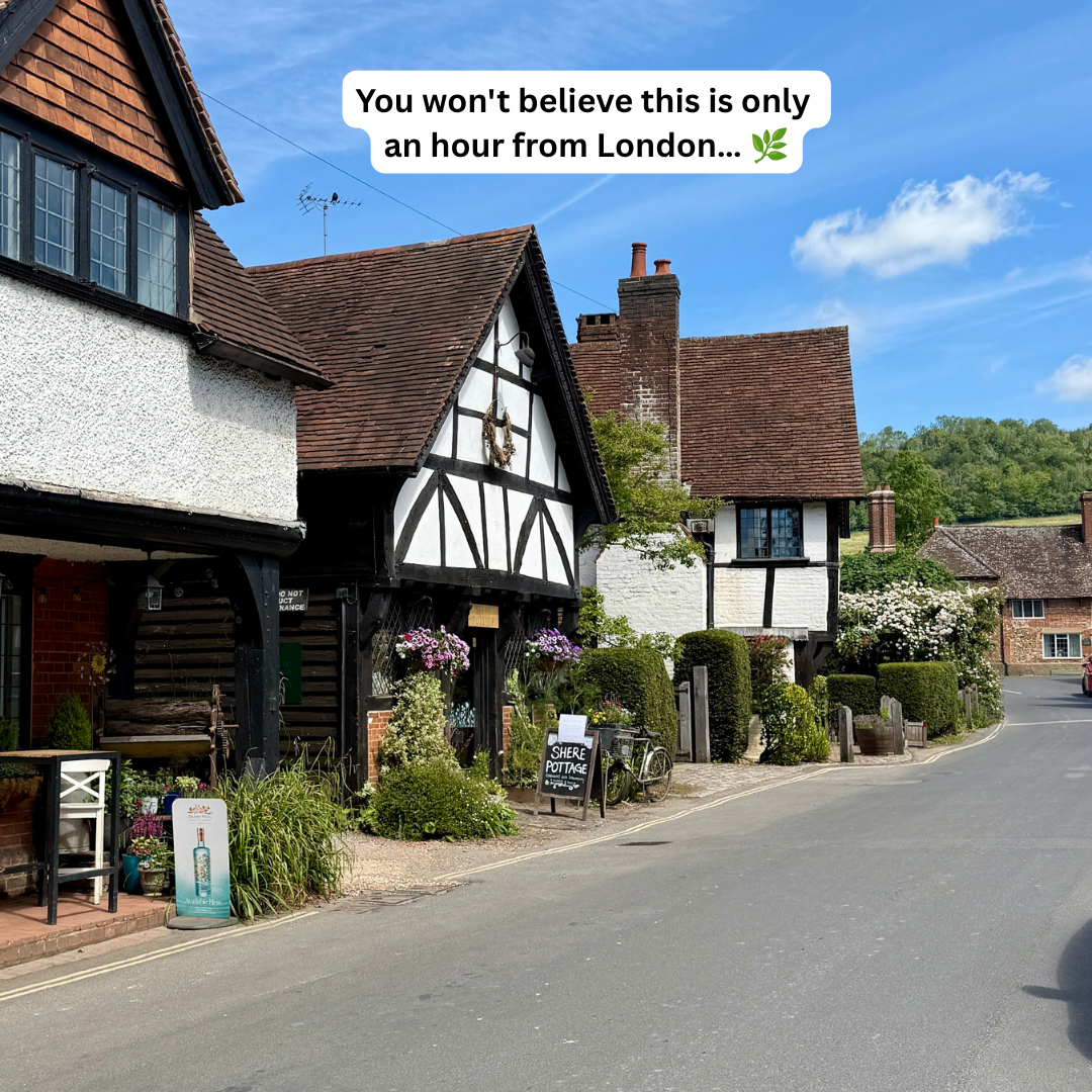 A Sunny Walk Through the Surrey Hills