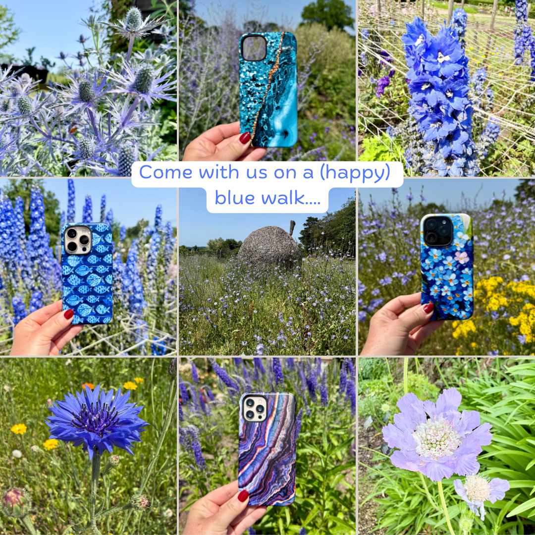 A Blue Colour Hunt at Wisley in a Heatwave