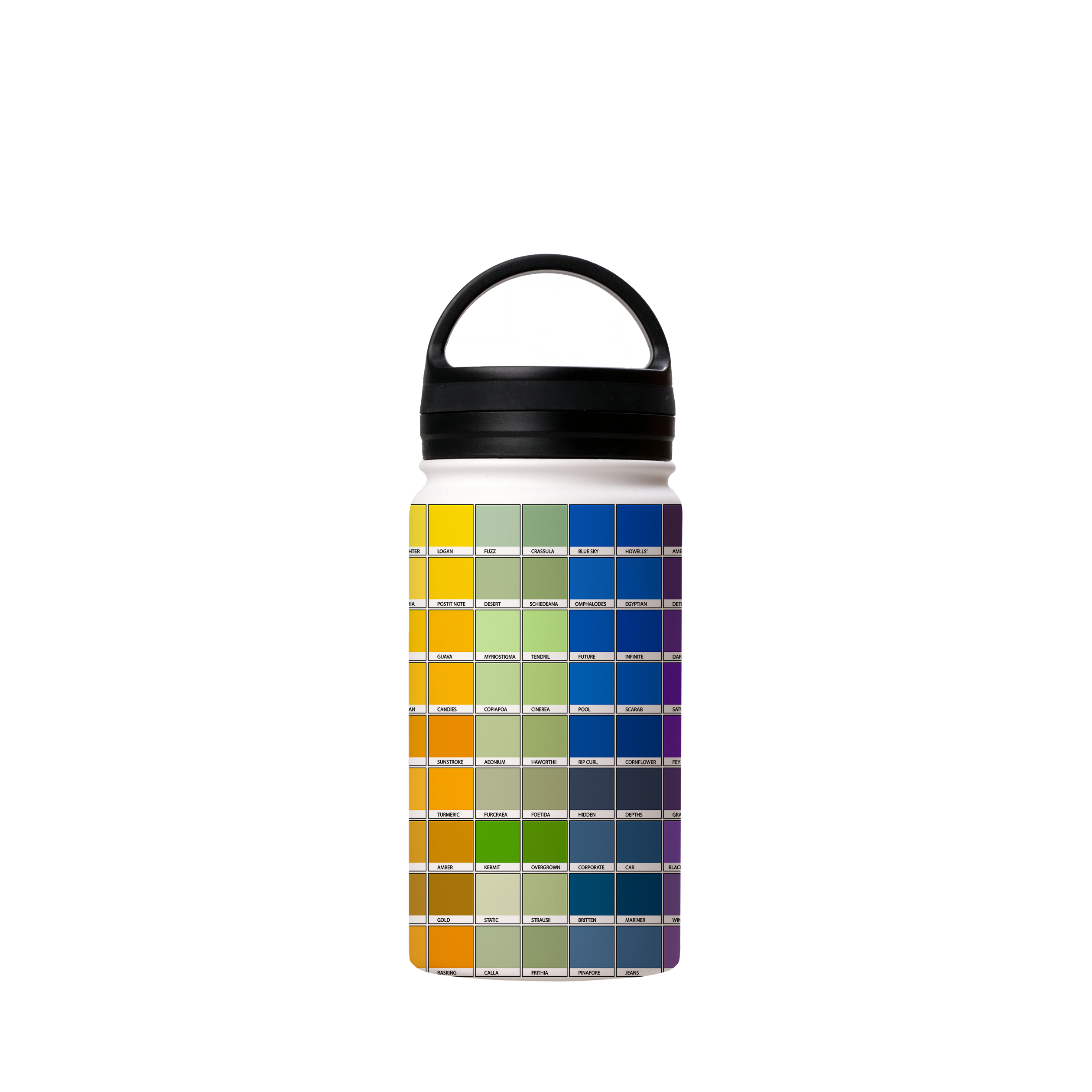Chromology Insulated Stainless Steel water Bottle By Kitty Joseph