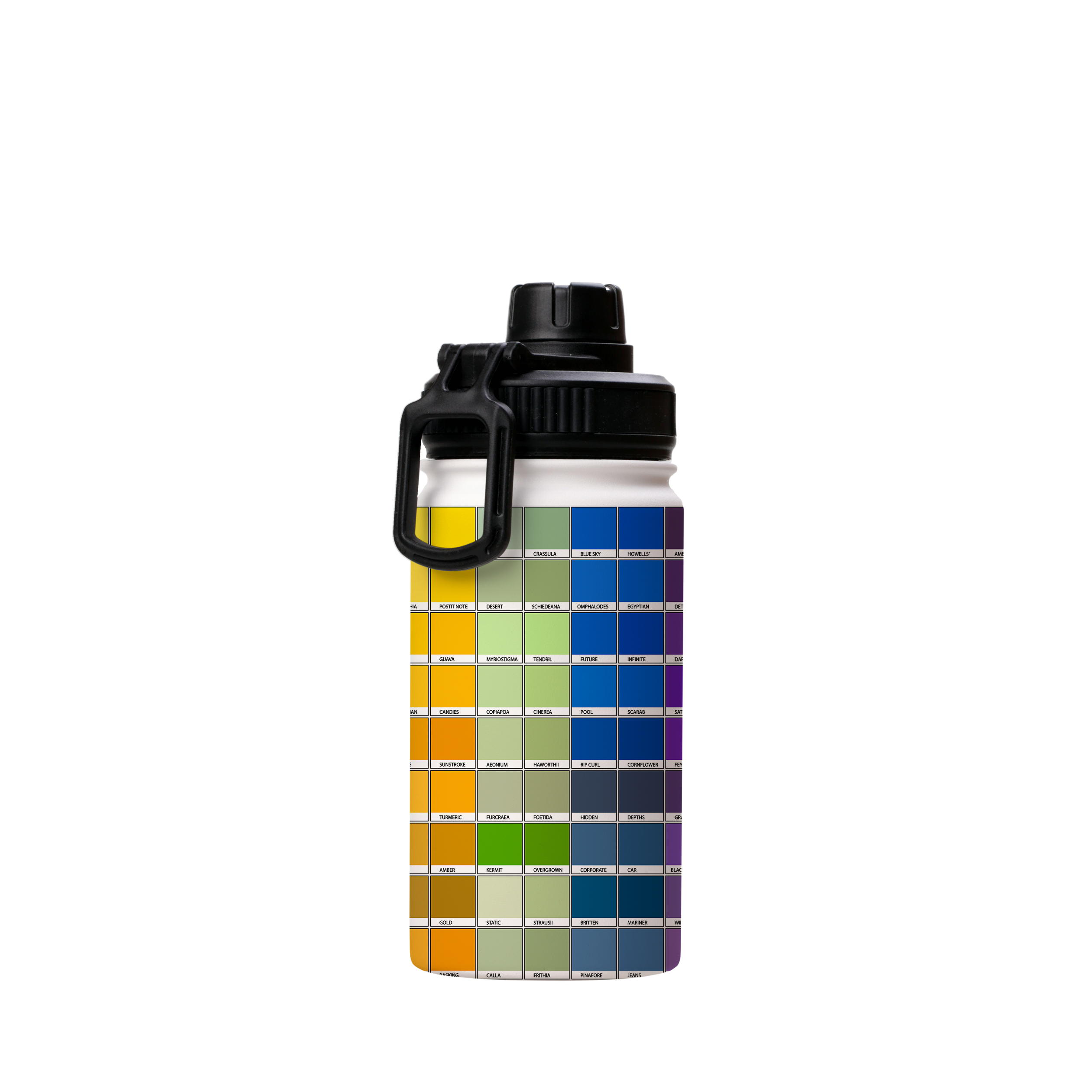 Chromology Insulated Stainless Steel water Bottle By Kitty Joseph