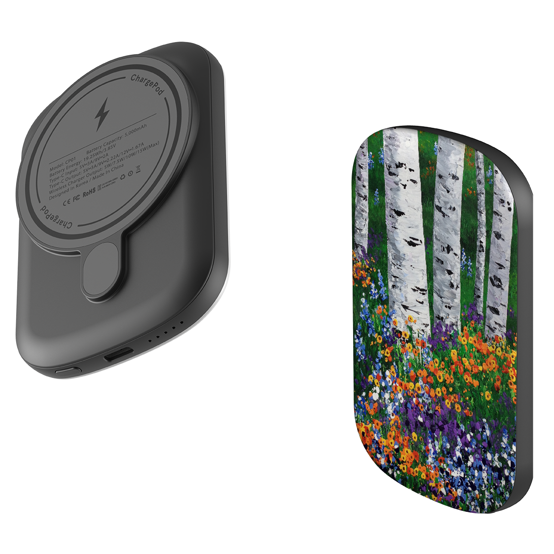 MagSafe Power Bank - Intimate Pleasures By Linda Calvert Jacobson