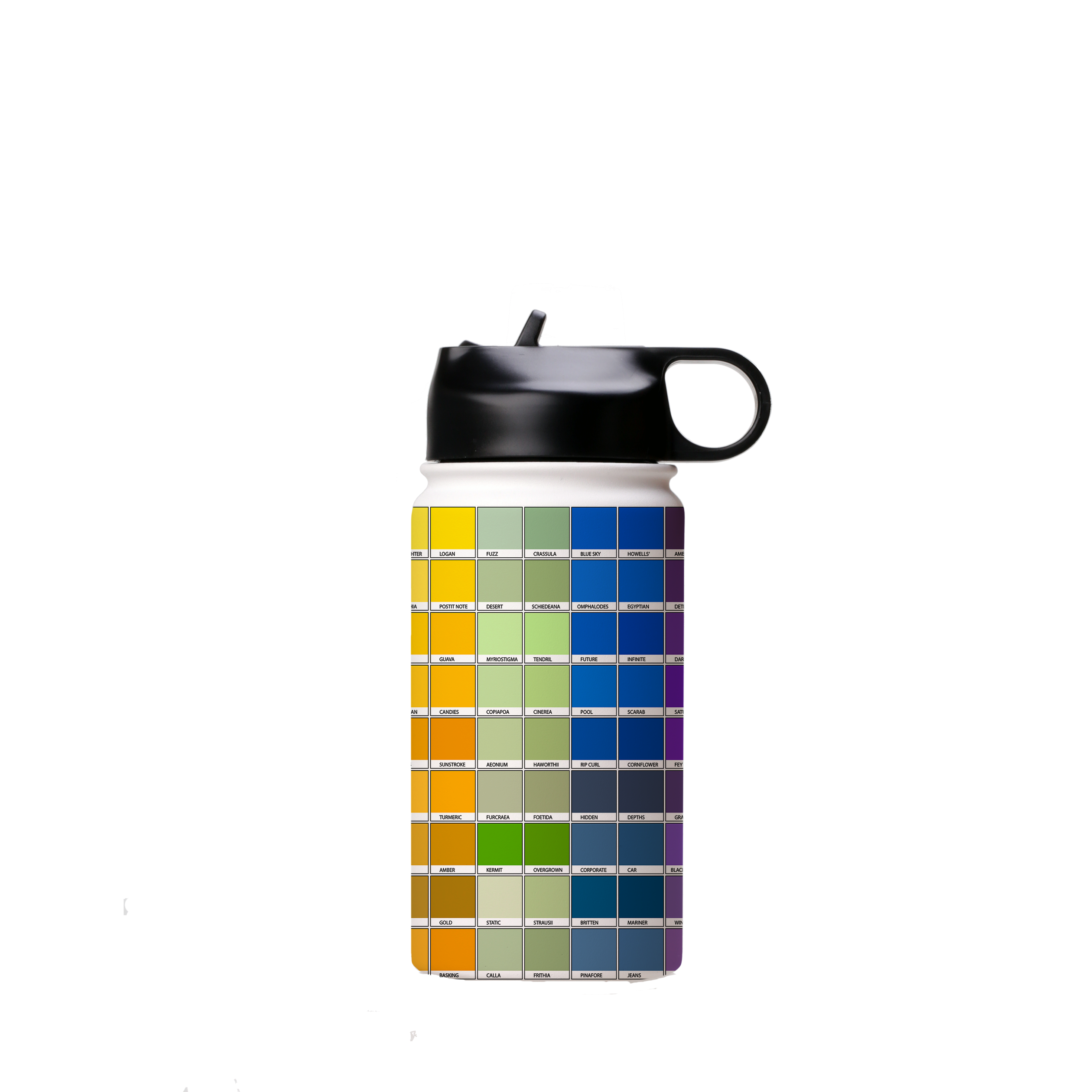 Chromology Insulated Stainless Steel water Bottle By Kitty Joseph