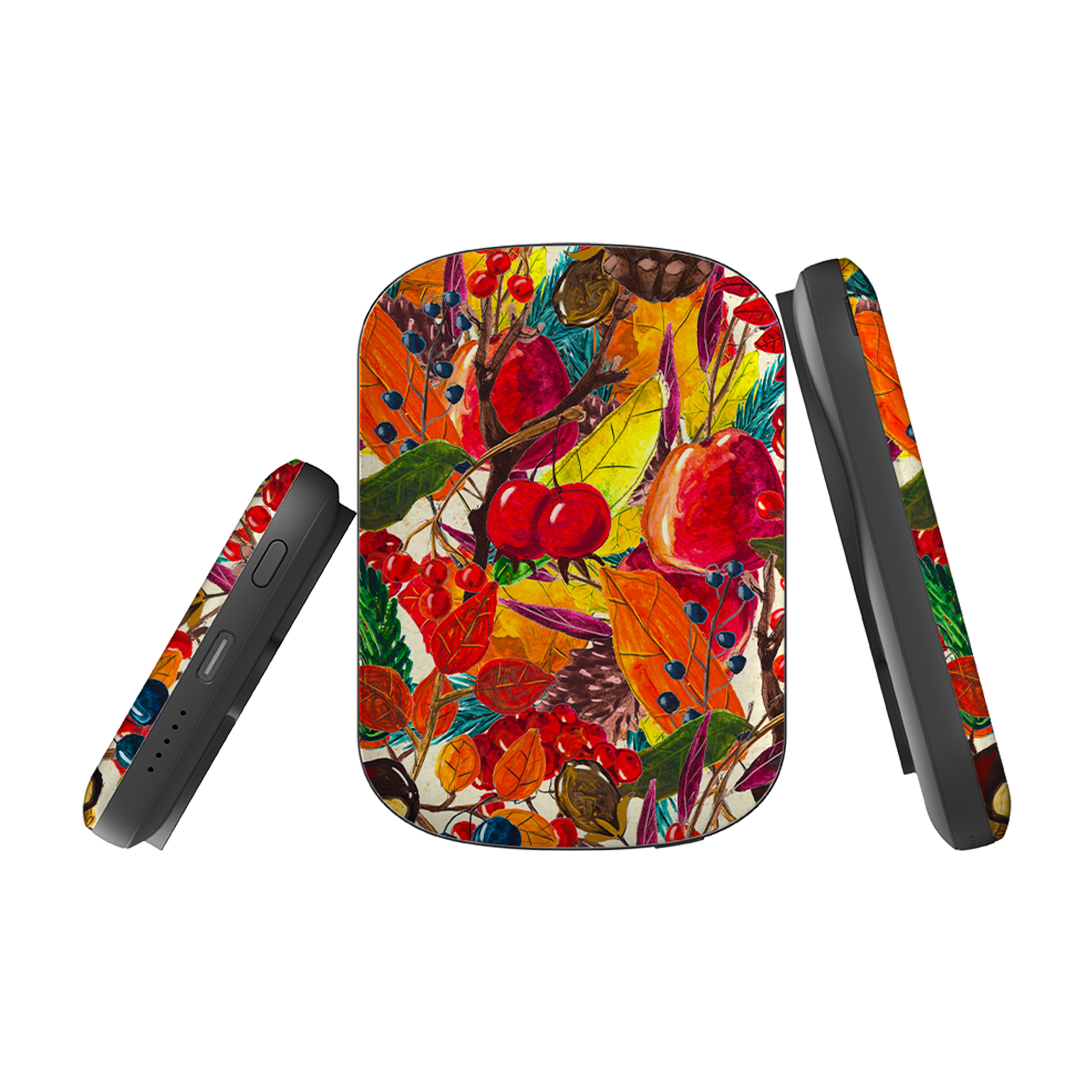 MagSafe Power Bank - Autumn Fruits