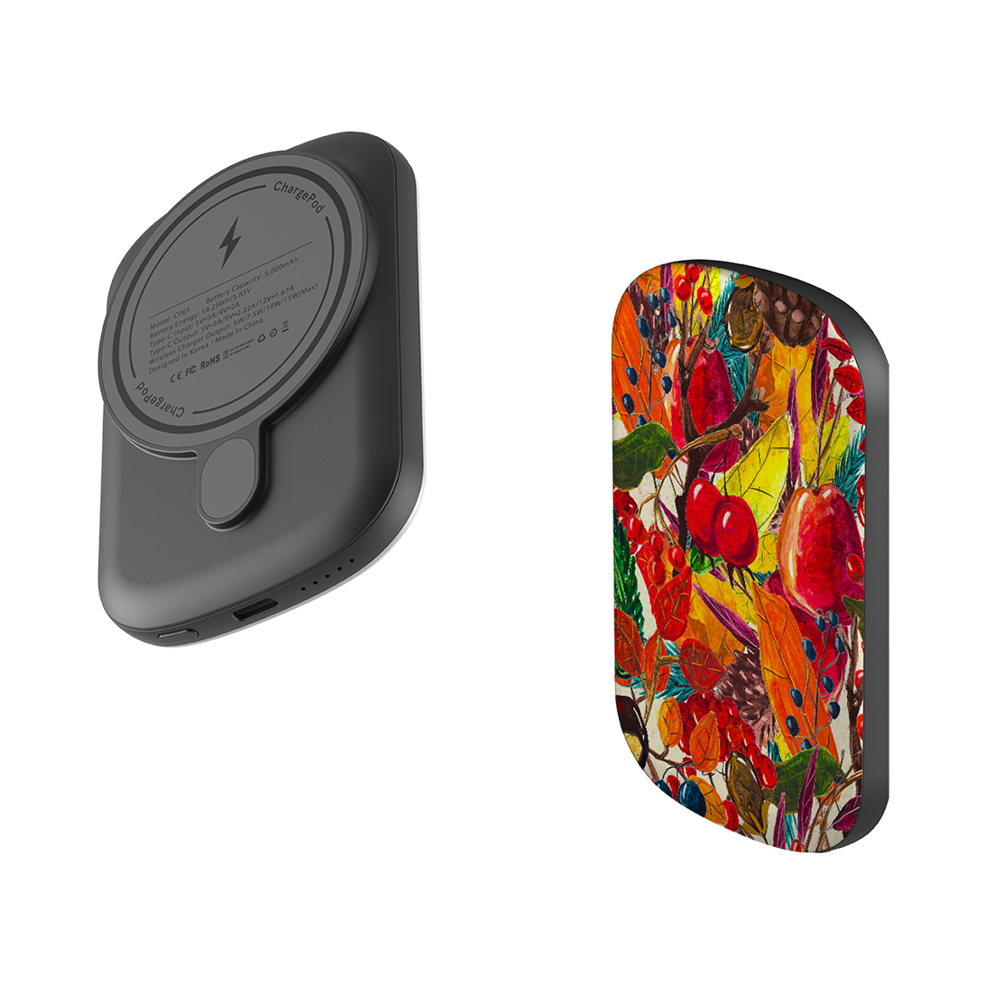 MagSafe Power Bank - Autumn Fruits