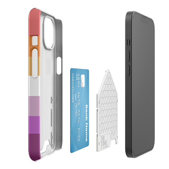 Anaheim Chroma Case and Card