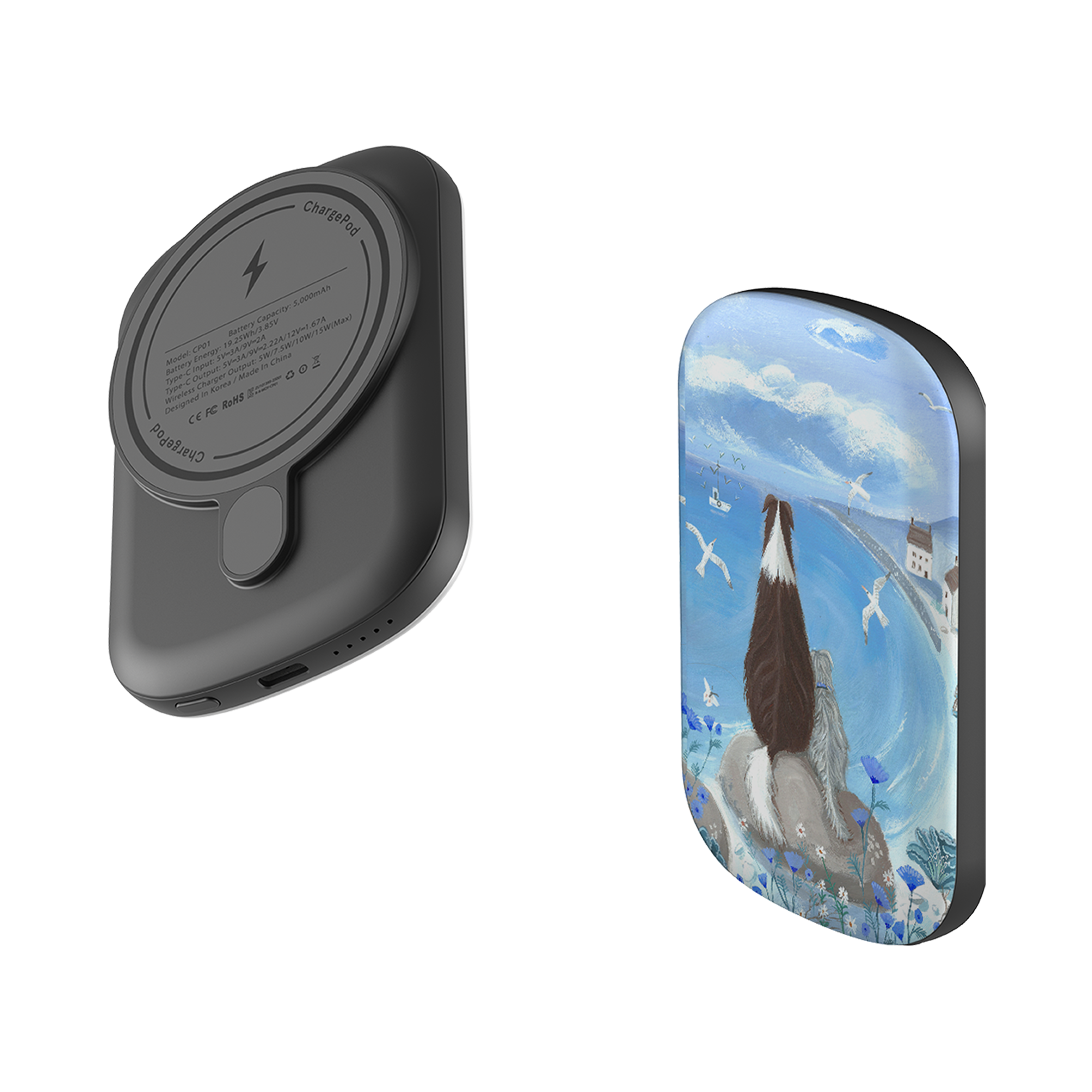MagSafe Power Bank - Beach Dog By Mary Stubberfield