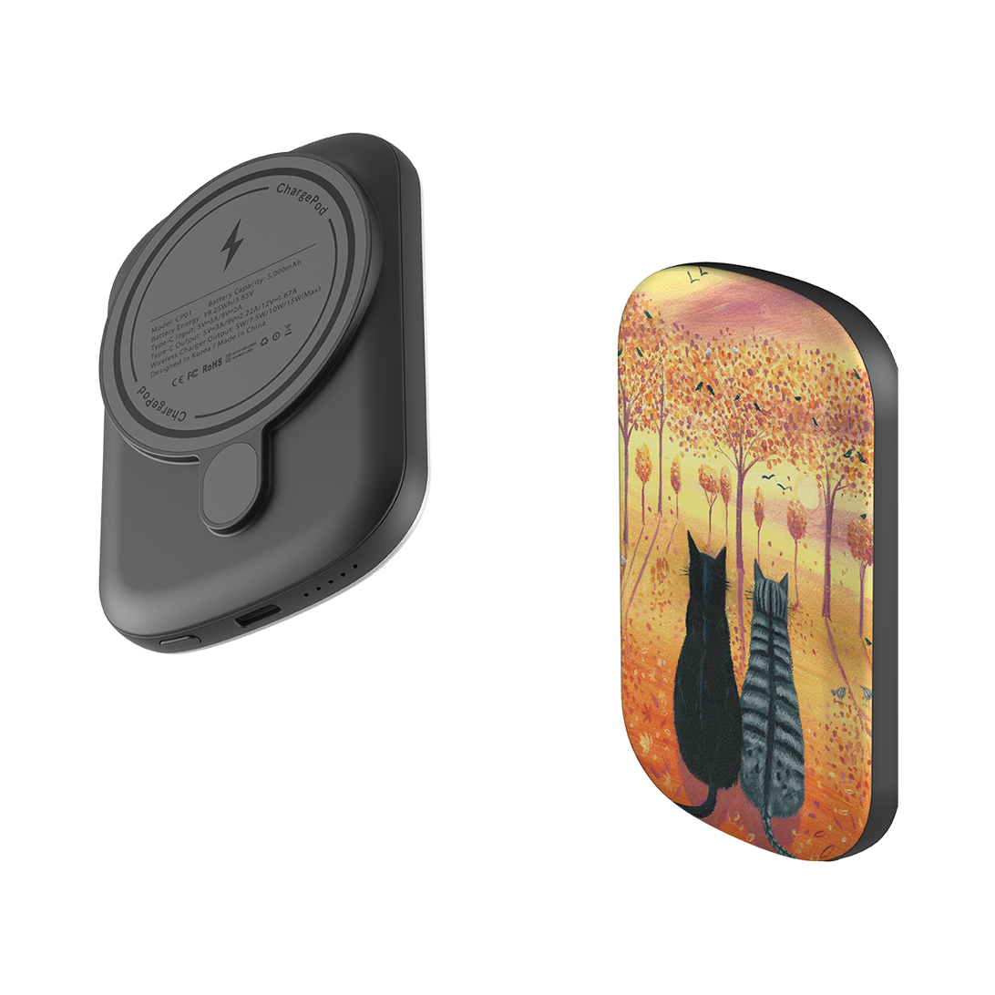 MagSafe Power Bank - Bird Watching By Mary Stubberfield