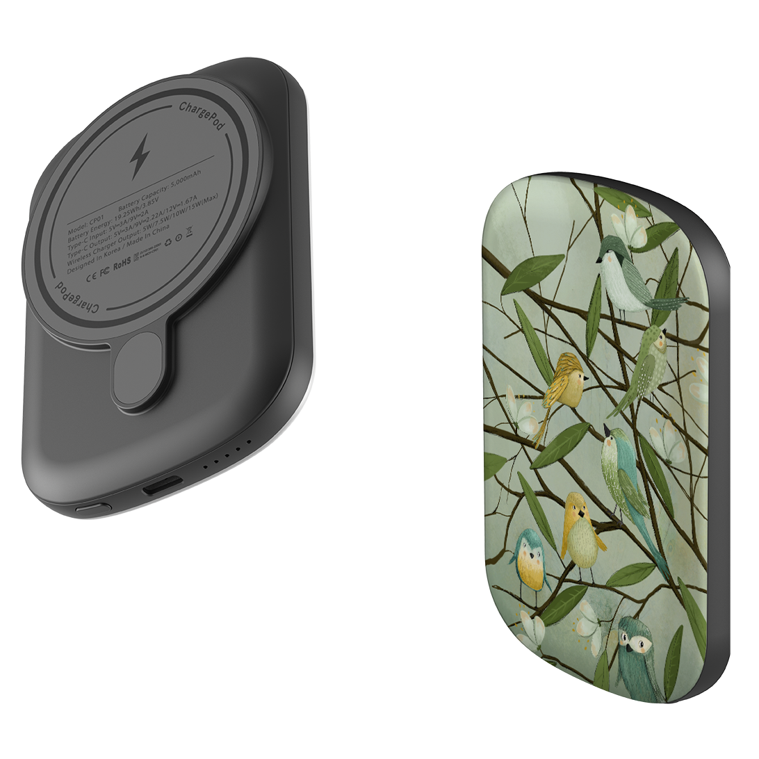 MagSafe Power Bank - Birds By Maja Lindberg