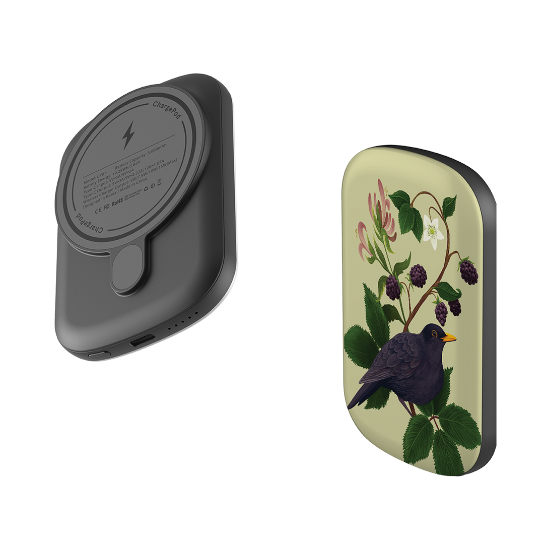 MagSafe Power Bank - Blackbird By Anna Stead