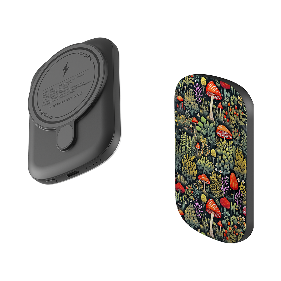 MagSafe Power Bank - Ballons Des Vosges
