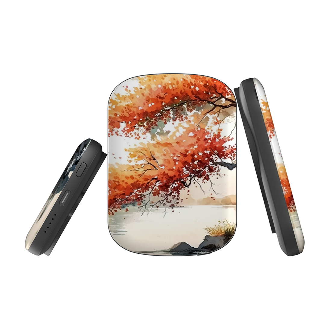 MagSafe Power Bank - Branscombe