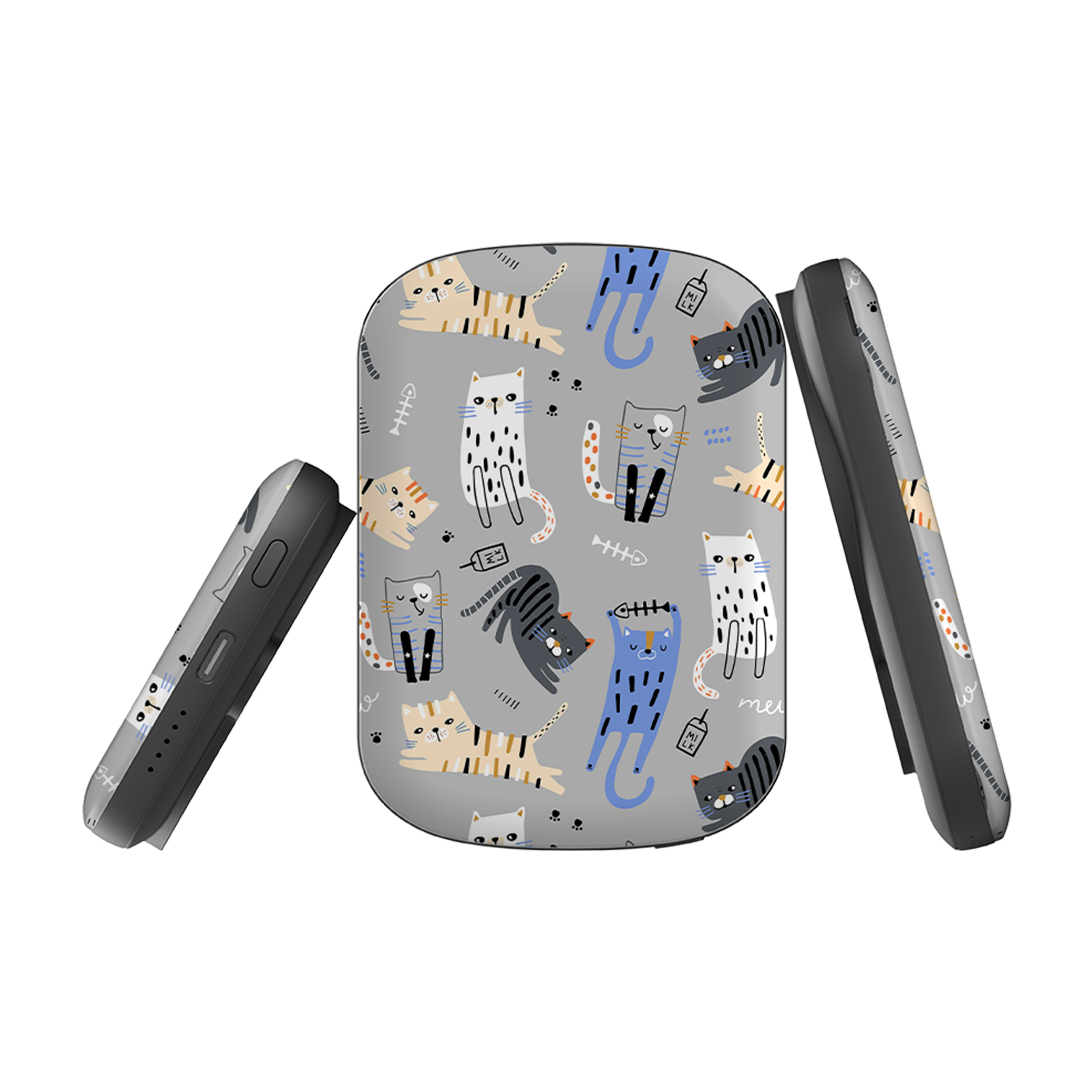 MagSafe Power Bank - Cat And Bone