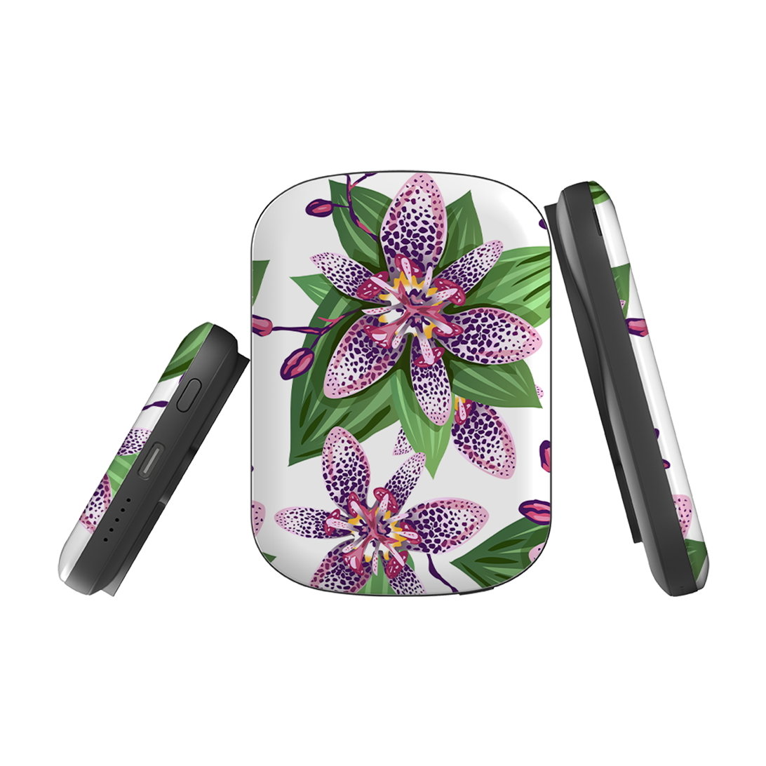 MagSafe Power Bank - Chelsea Floral