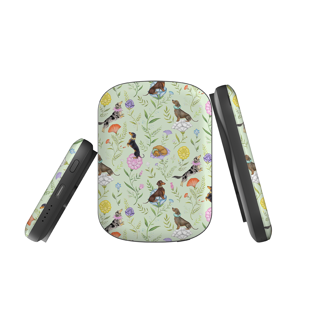 MagSafe Power Bank - Doxy Day Afternoon Pistachio By Catherine Rowe