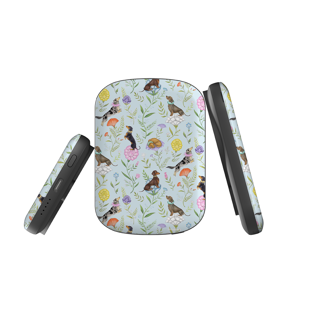 MagSafe Power Bank - Doxy Day Afternoon Sky By Catherine Rowe