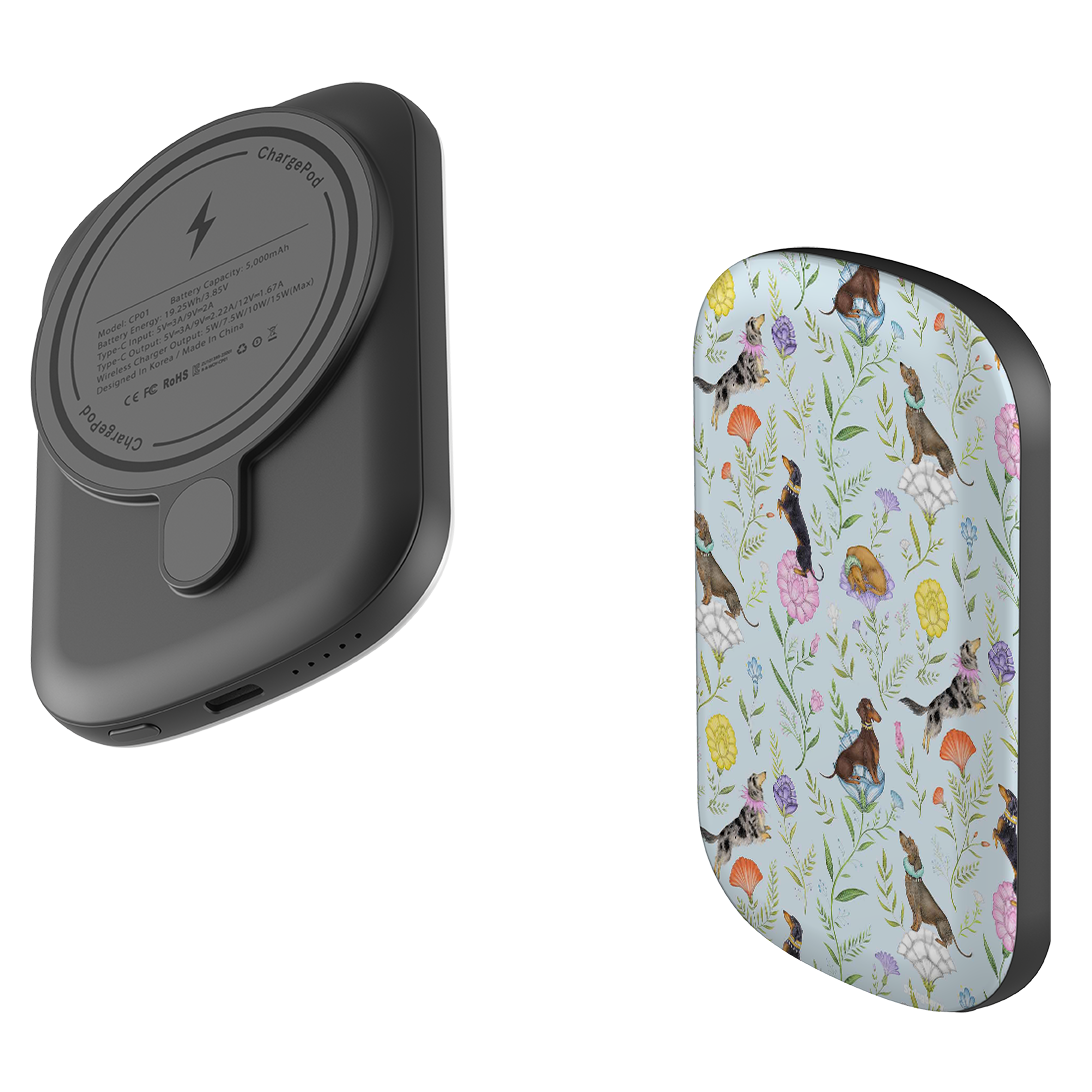 MagSafe Power Bank - Doxy Day Afternoon Sky By Catherine Rowe