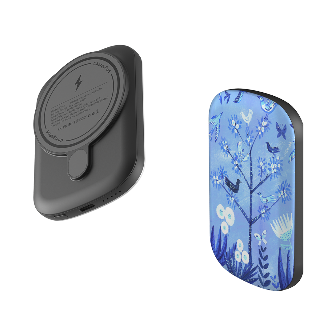 MagSafe Power Bank - Folk Art By Mary Stubberfield