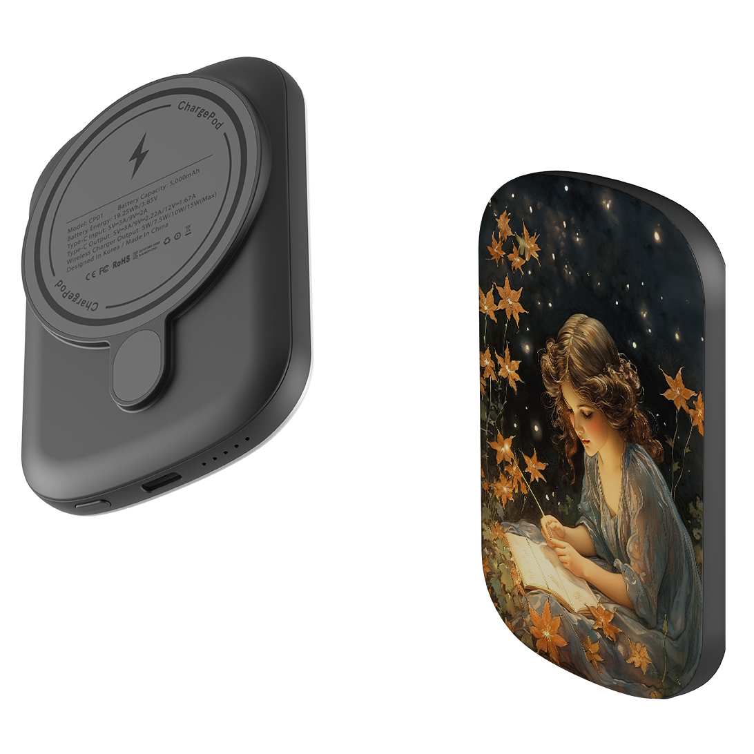 MagSafe Power Bank - Fairy Tales