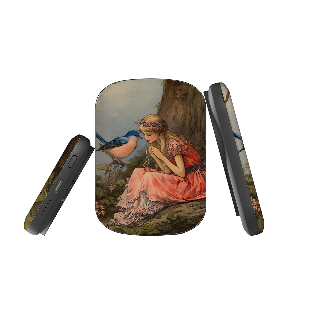 MagSafe Power Bank - Fairy Tales II