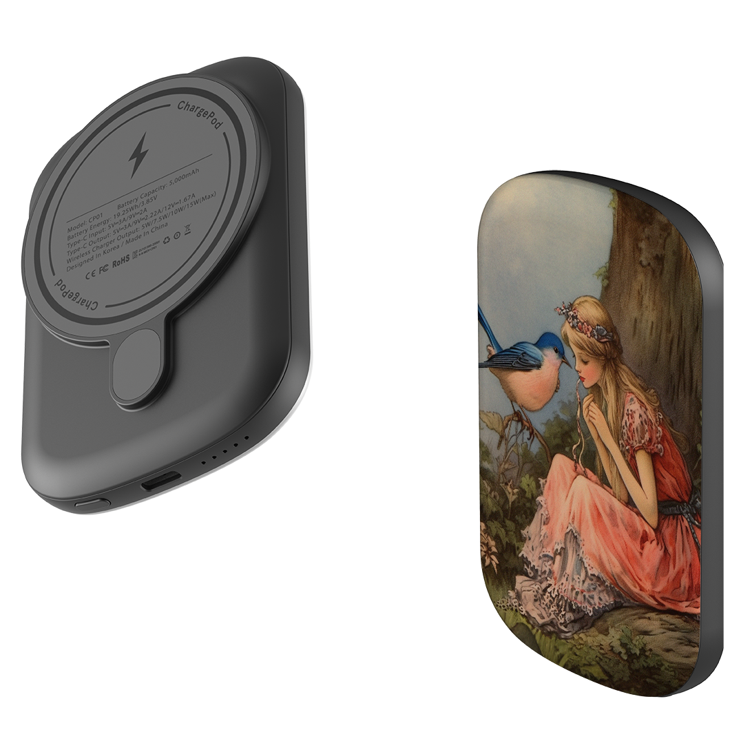 MagSafe Power Bank - Fairy Tales II