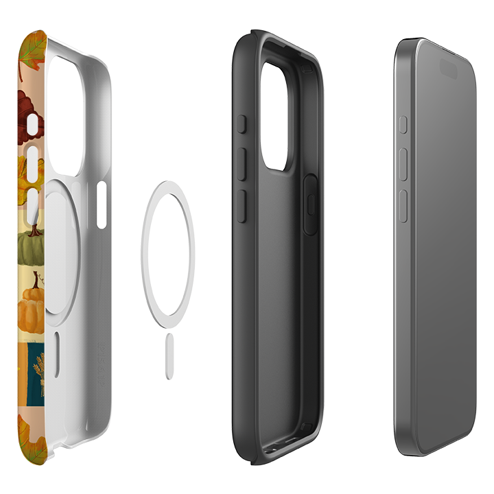 iPhone MagSafe Tough Case - Fall Sections By Abby Jacobs