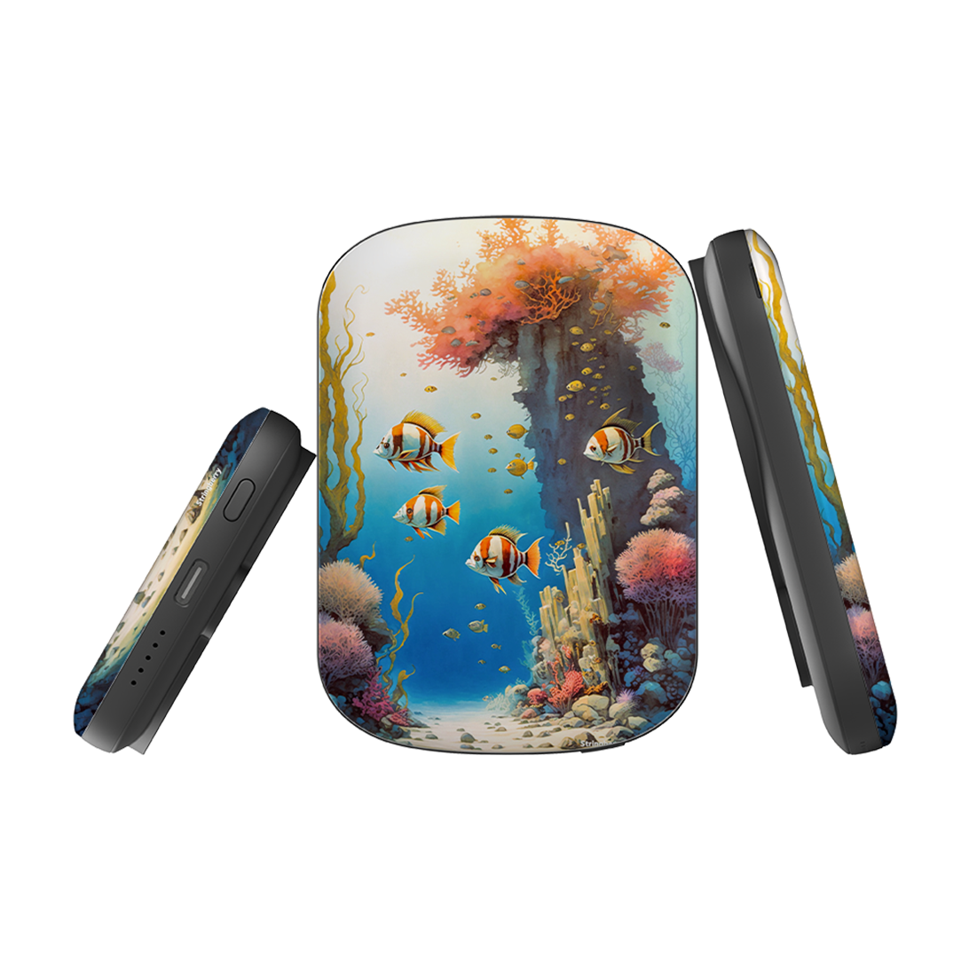 MagSafe Power Bank - Florida Keys