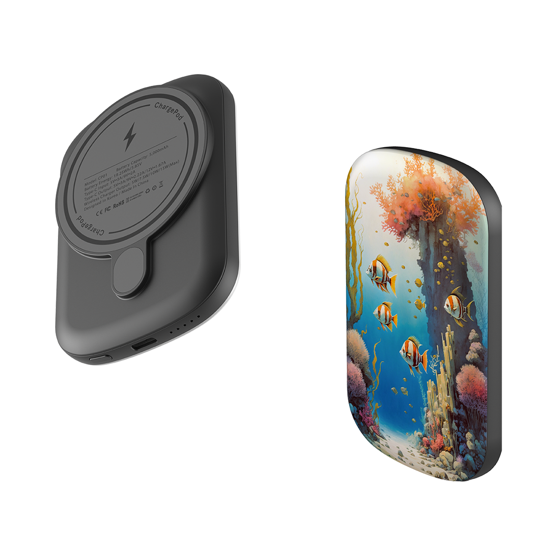 MagSafe Power Bank - Florida Keys