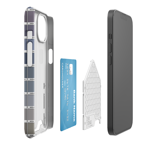 Grey Chromology By Kitty Joseph Case and Card