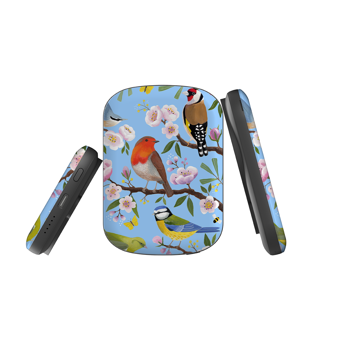 MagSafe Power Bank - Garden Birds By Bex Parkin