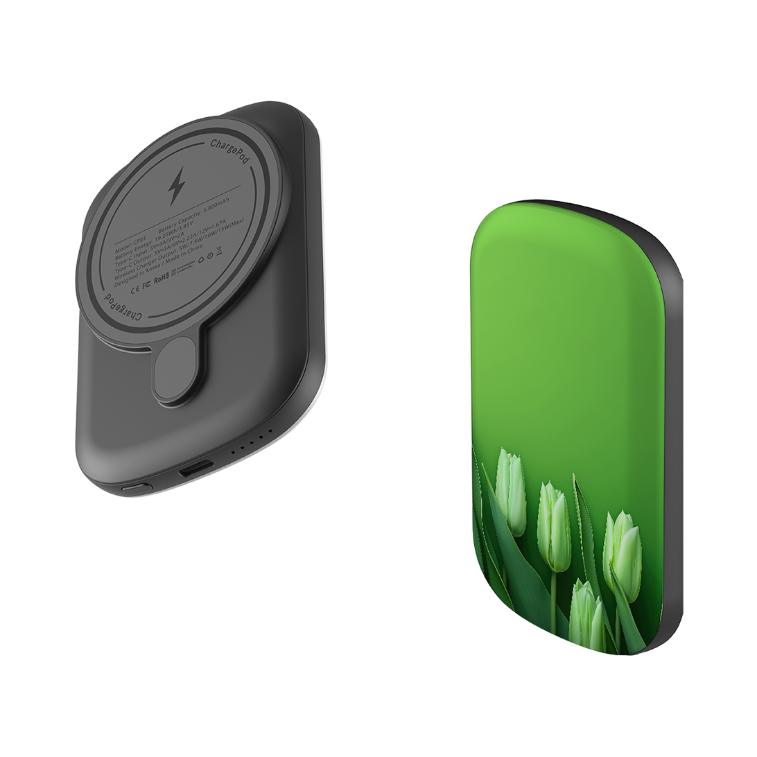 MagSafe Power Bank - Green Floral