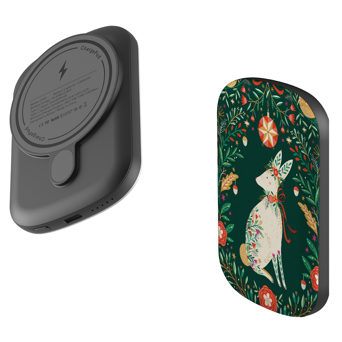 MagSafe Power Bank - Hare III By Ali Brookes
