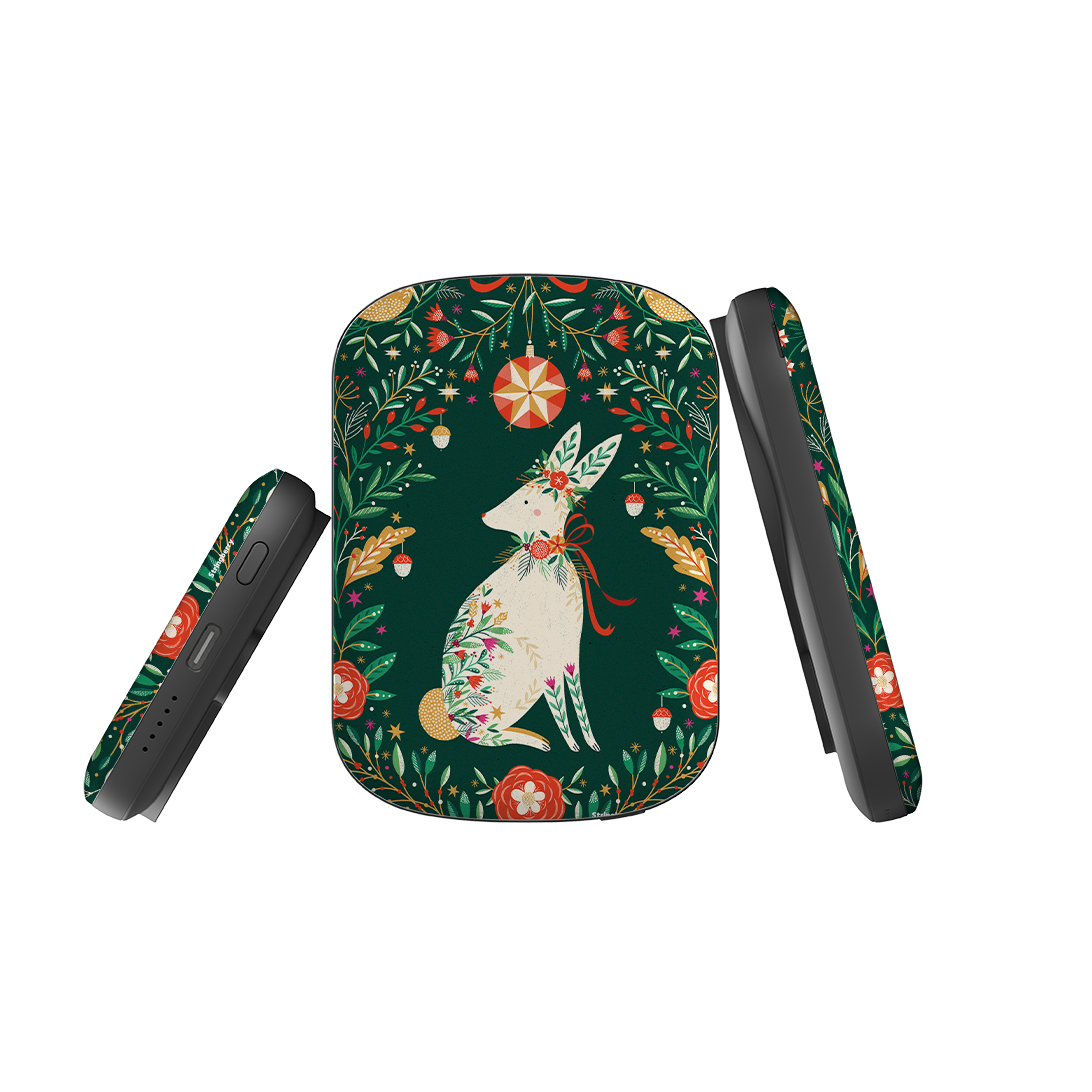 MagSafe Power Bank - Hare III By Ali Brookes