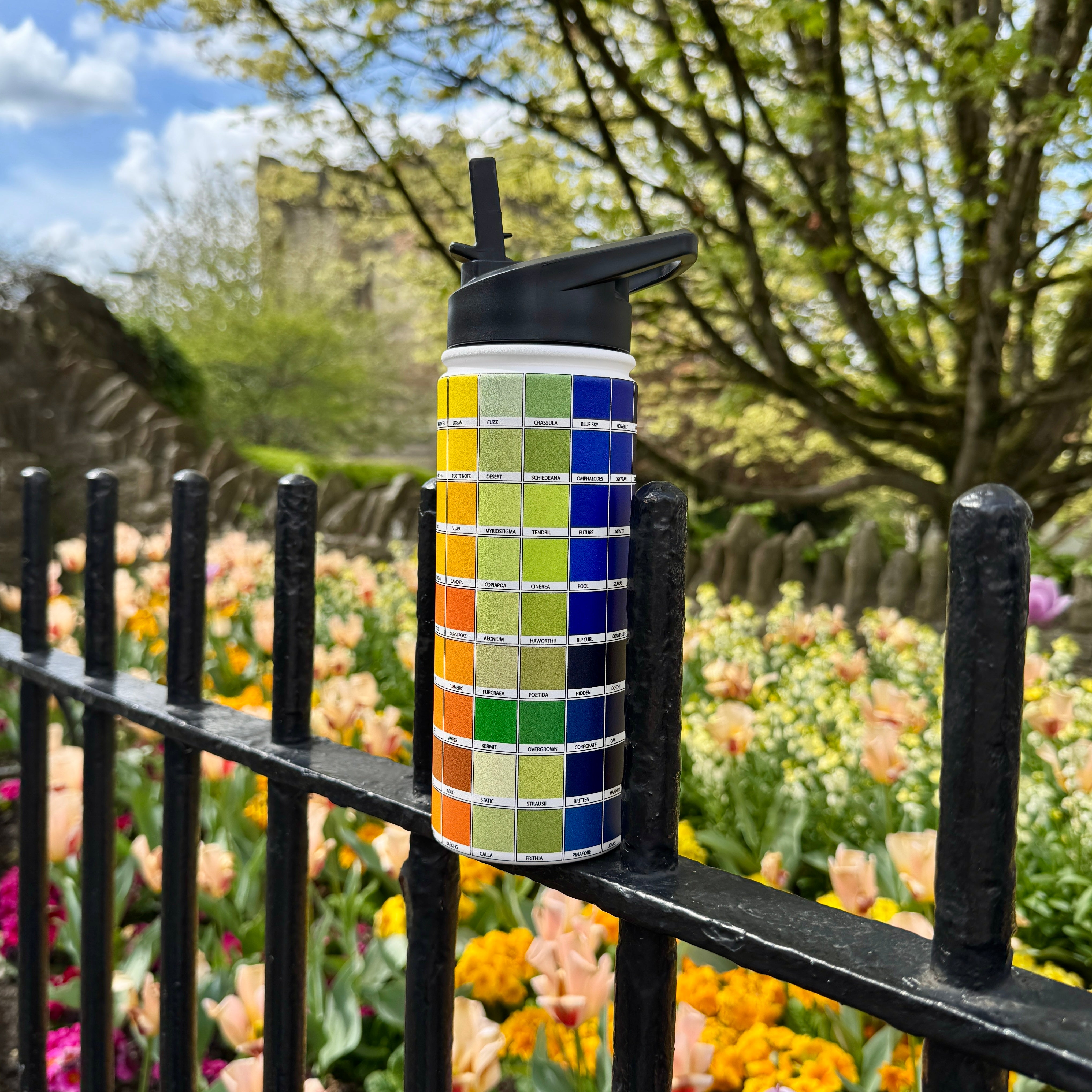 Chromology Insulated Stainless Steel water Bottle By Kitty Joseph