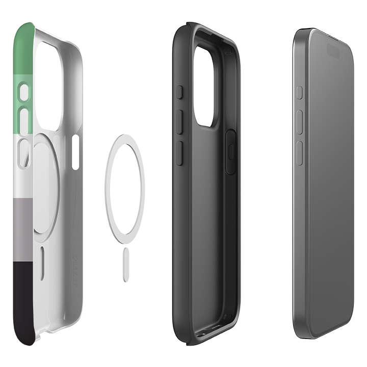 iPhone MagSafe Tough Case -  Irvine Chroma