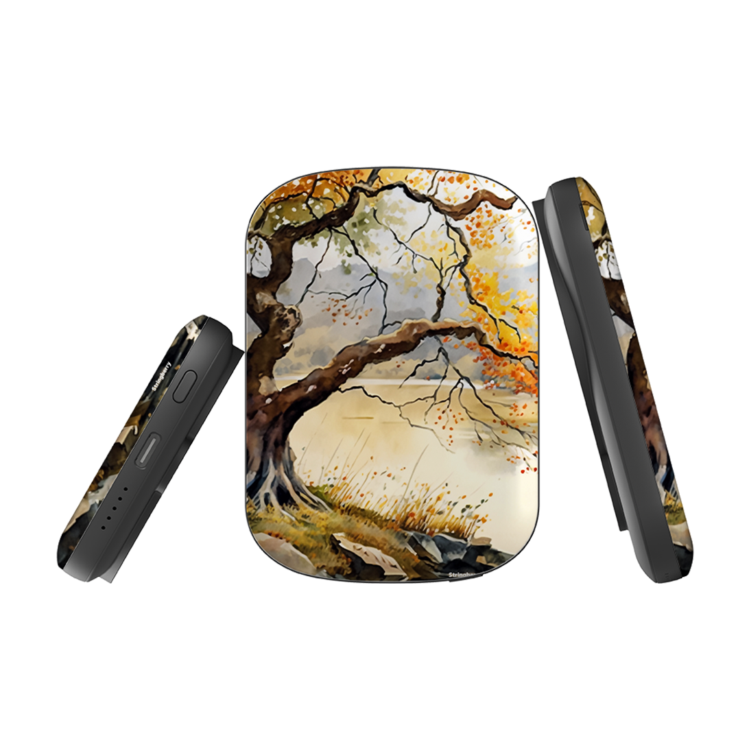 MagSafe Power Bank - Ivybridge