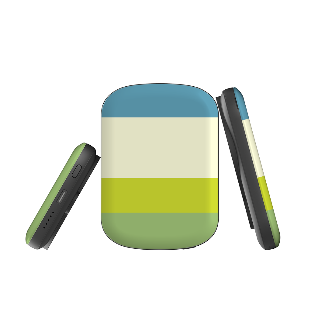 MagSafe Power Bank - Jaipur Chroma