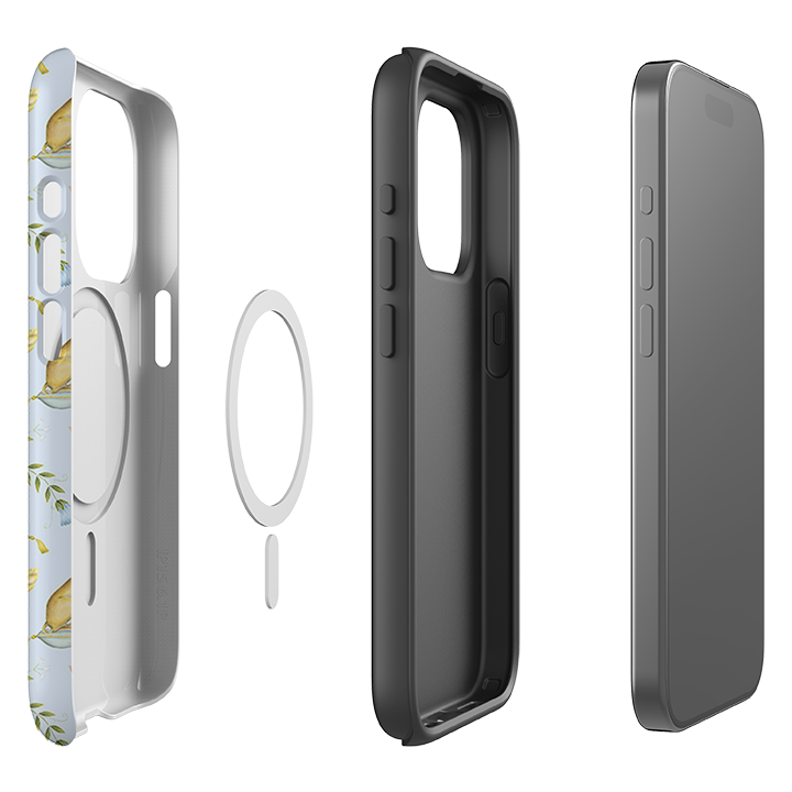 iPhone MagSafe Tough Case -  Leo Et Flores Sky By Catherine Rowe