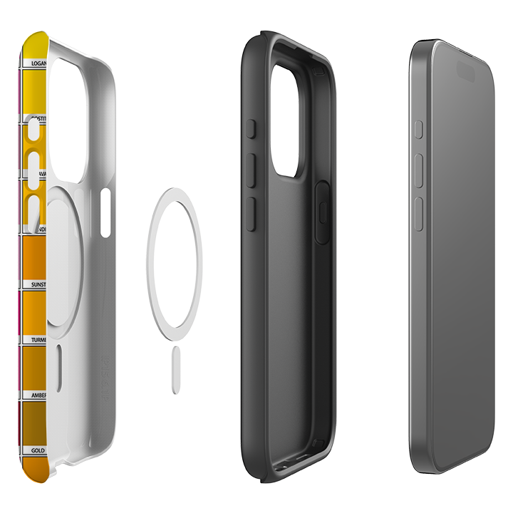 iPhone MagSafe Tough Case -  Multi Chromology By Kitty Joseph