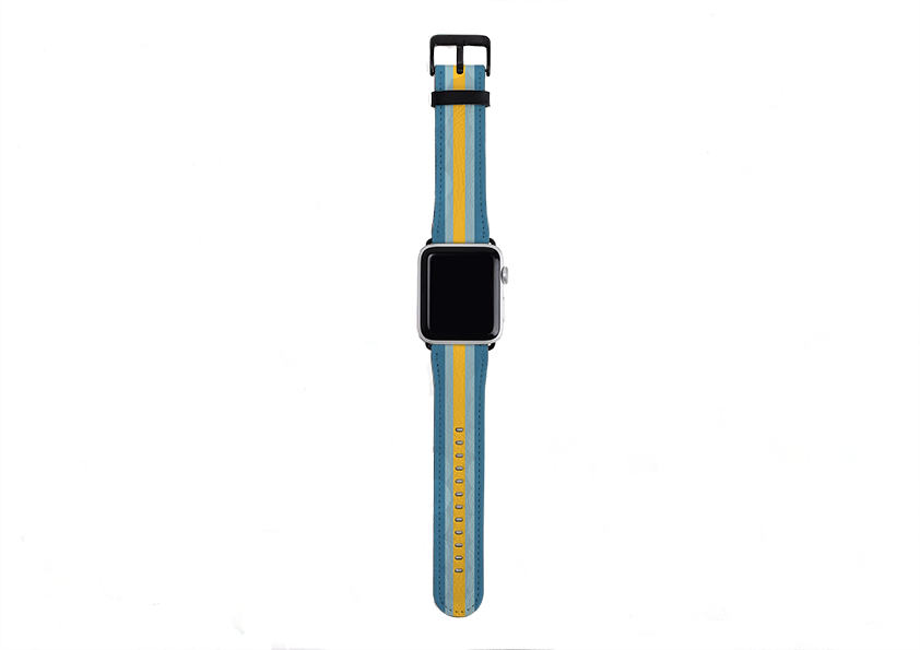 Apple Watch Strap- Madrid Chroma Stripe