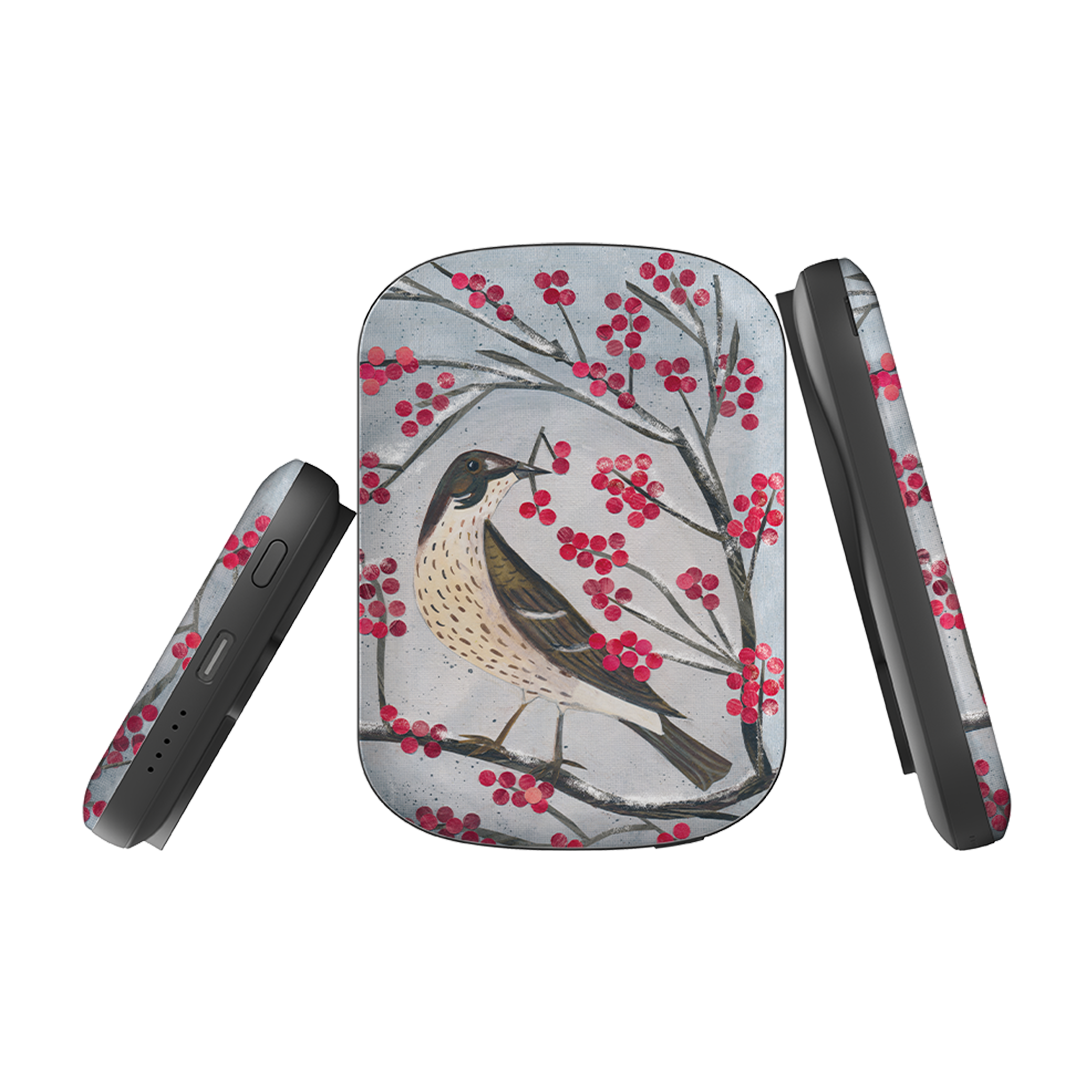 MagSafe Power Bank - Mistle Thrush By Tracey English