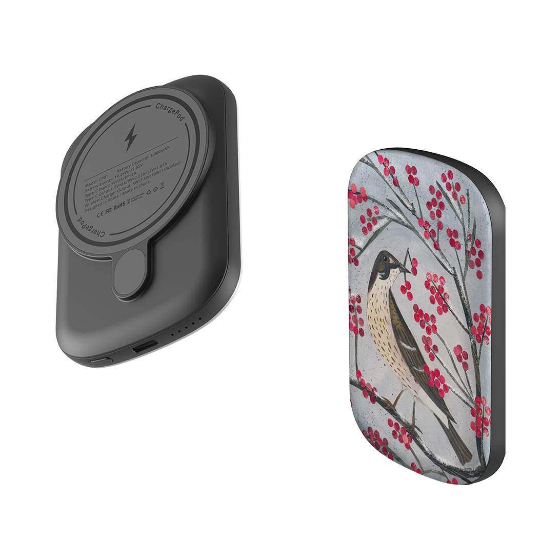 MagSafe Power Bank - Mistle Thrush By Tracey English