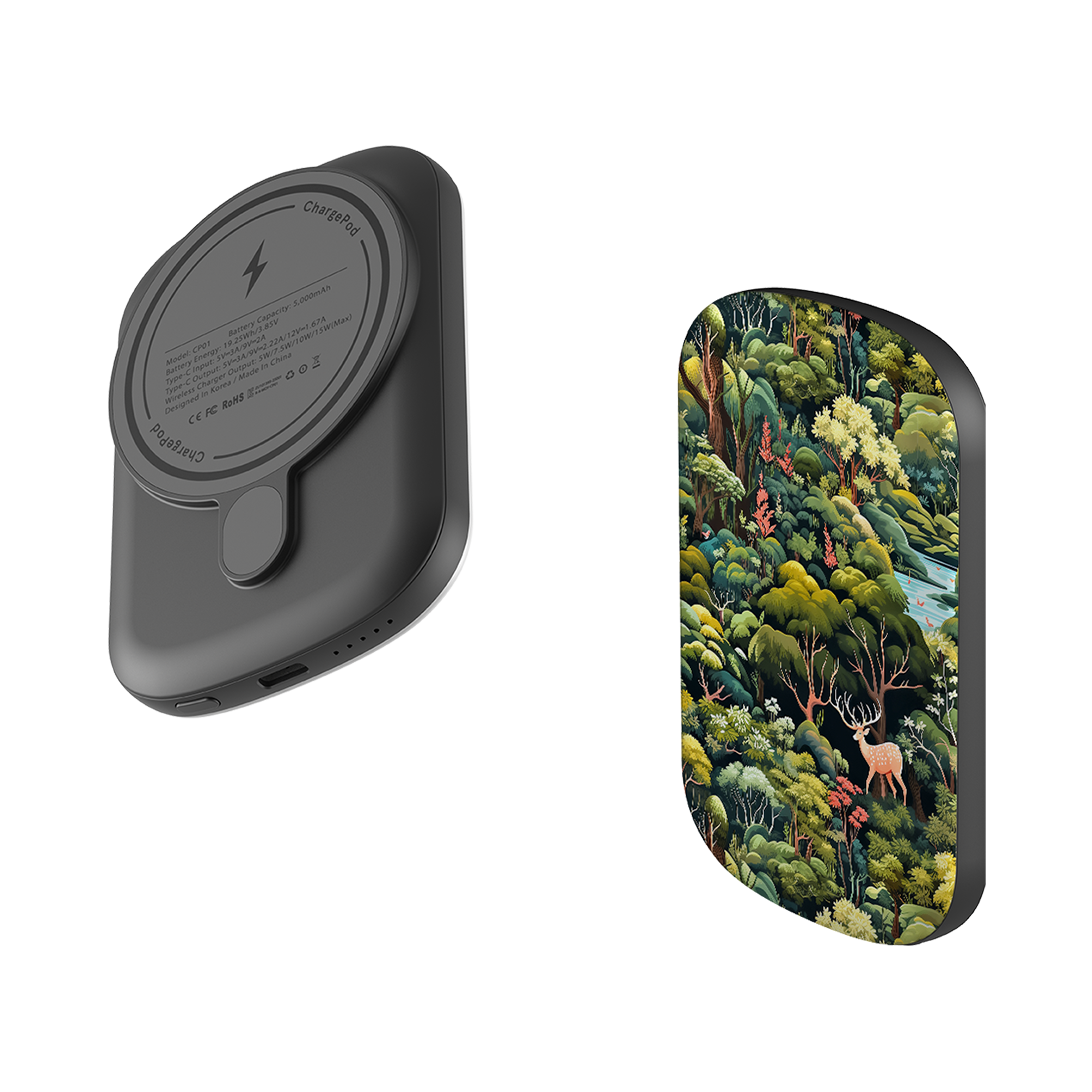 MagSafe Power Bank - Odenwald Park