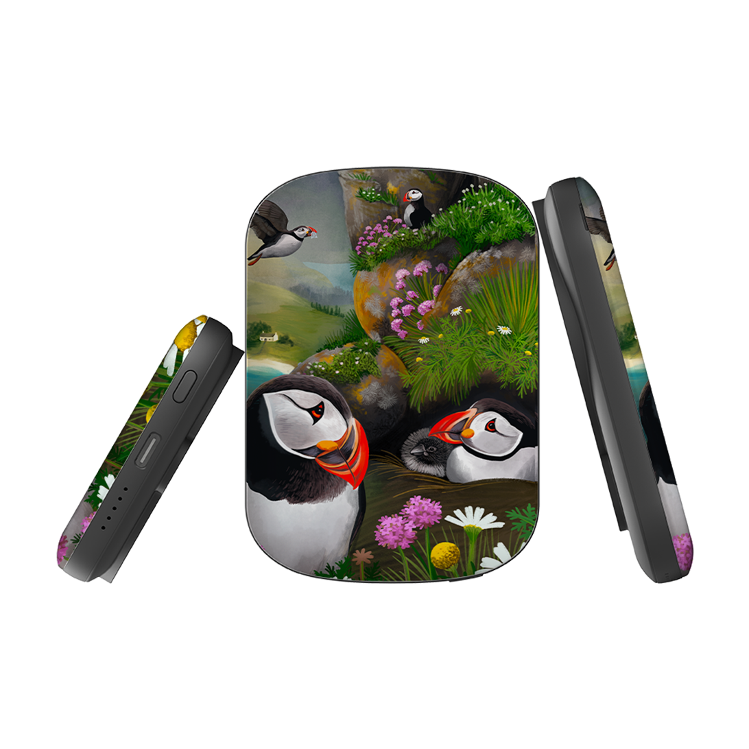 MagSafe Power Bank - Puffin Family By Anna Stead