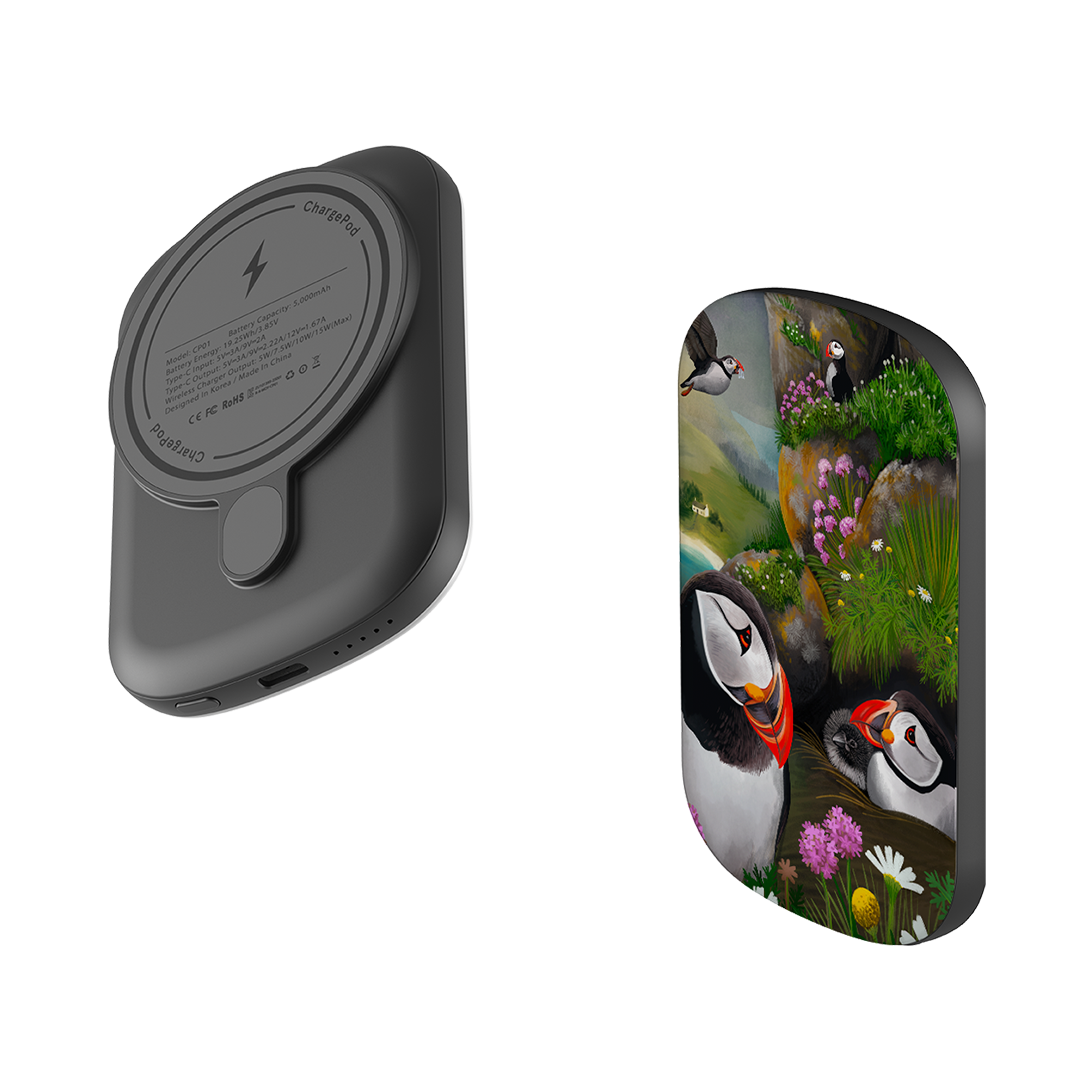 MagSafe Power Bank - Puffin Family By Anna Stead