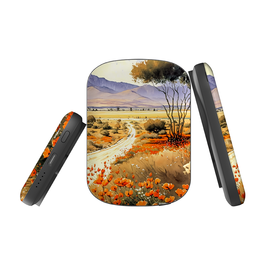 MagSafe Power Bank - Radicofani