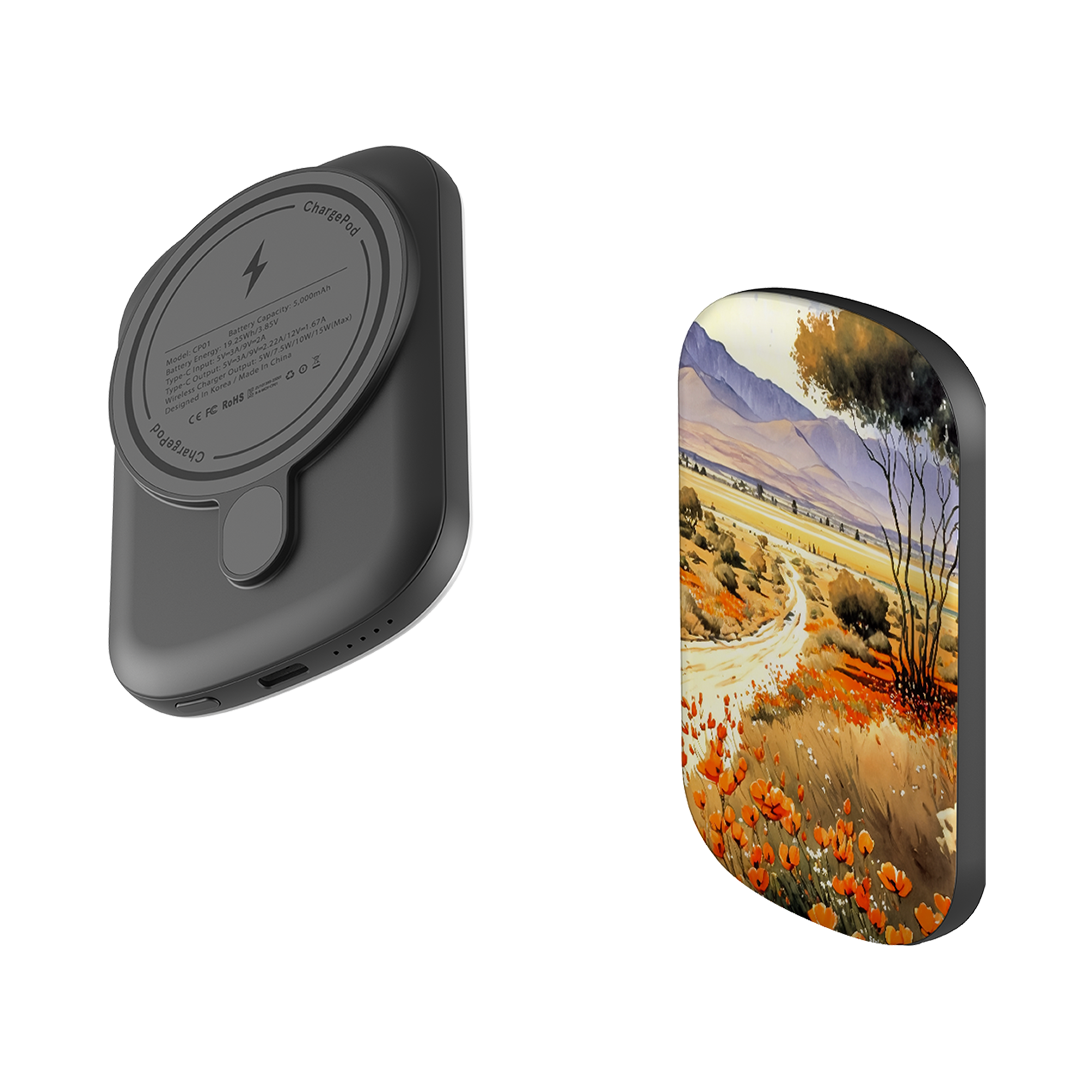 MagSafe Power Bank - Radicofani