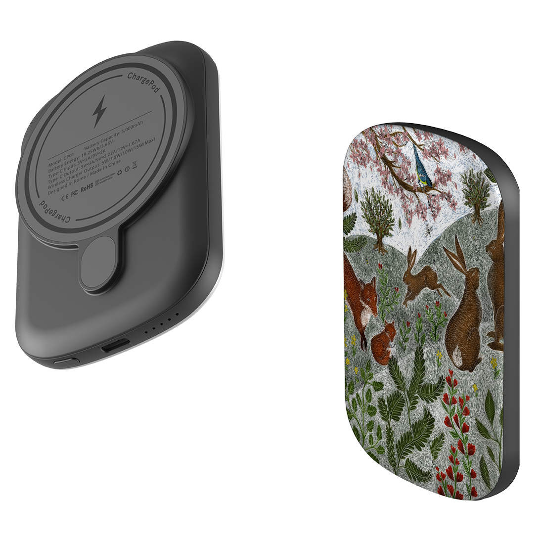 MagSafe Power Bank - Sussex Downs By Catherine Rowe