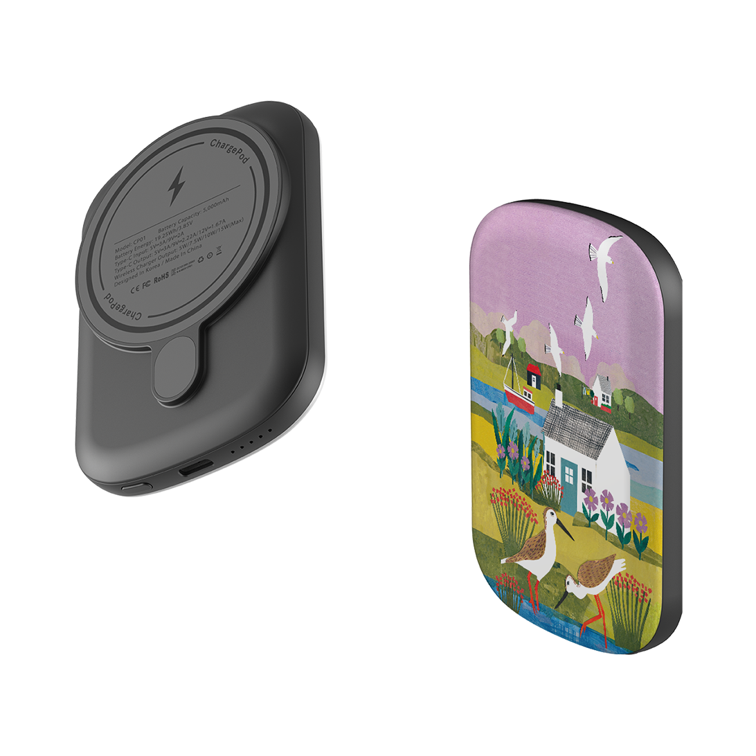 MagSafe Power Bank - Sandpiper By Tracey English
