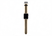 Apple Watch Strap- Seoul Chroma Stripe