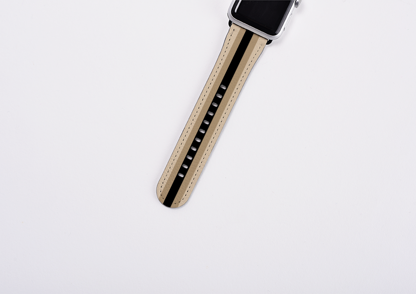 Apple Watch Strap- Seoul Chroma Stripe